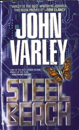 Steel Beach book cover