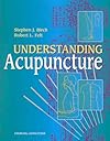 Understanding Acupuncture