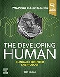 The developing human : clinically oriented embryology