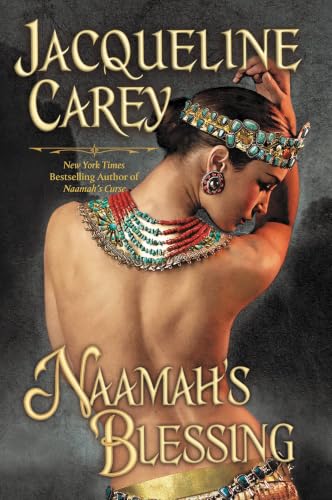Naamah's Blessing book cover