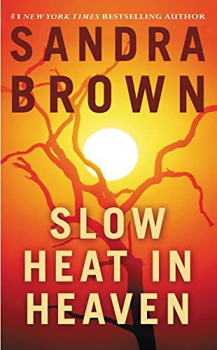 Slow Heat in Heaven book cover