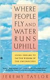Where People Fly and Water Runs Uphill: Using Dreams to Tap the Wisdom of the Unconscious