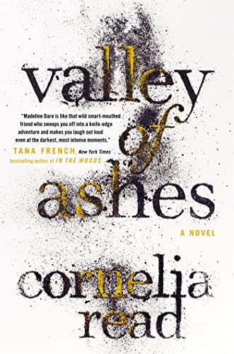 Valley of Ashes book cover