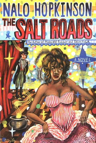 The Salt Roads book cover