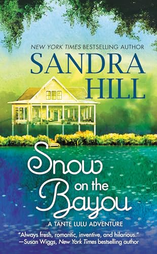 Snow on the Bayou book cover