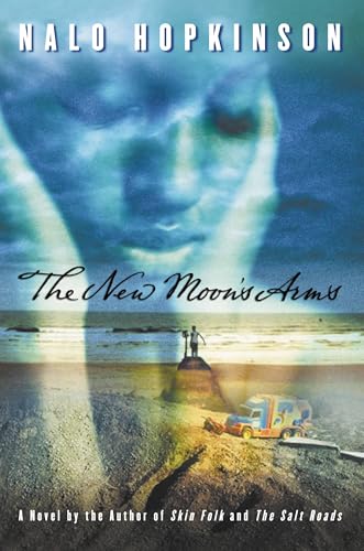 The New Moon's Arms book cover