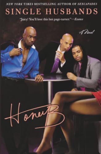 Single Husbands book cover