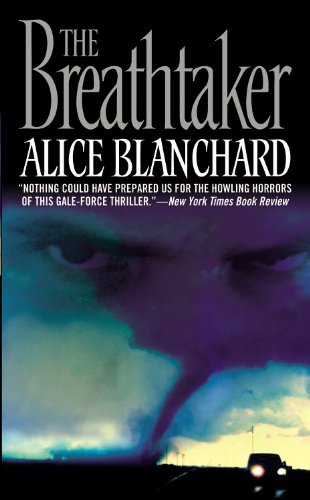 The Breathtaker book cover