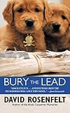 Bury the Lead