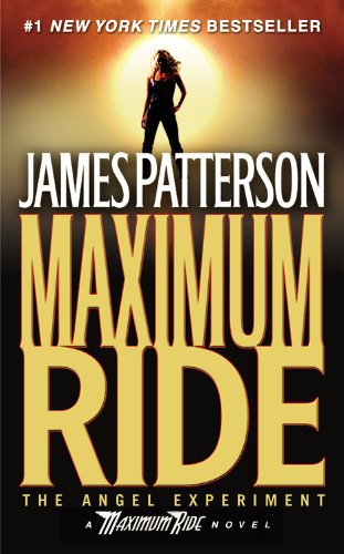 The Angel Experiment book cover