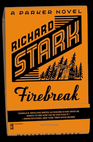 Firebreak book cover