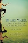Be Like Water: Practical Wisdom from the Martial Arts