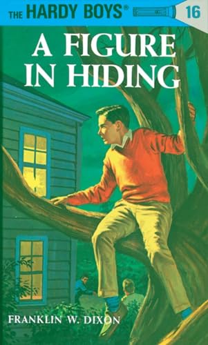 A Figure in Hiding book cover