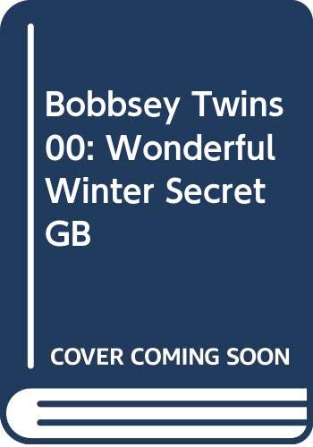 The Bobbsey Twins' Wonderful Winter Secret book cover