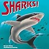 Sharks!