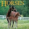 Horses: An Abridgement of Harold Roth's Big Book of Horses
