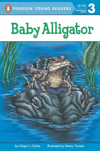 Baby Alligator (By: Ginjer L. Clarke) cover