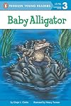 Baby Alligator