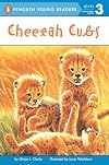 Cheetah Cubs