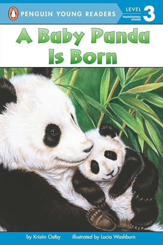 A Baby Panda Is Born book cover