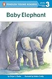 Amazon cover image