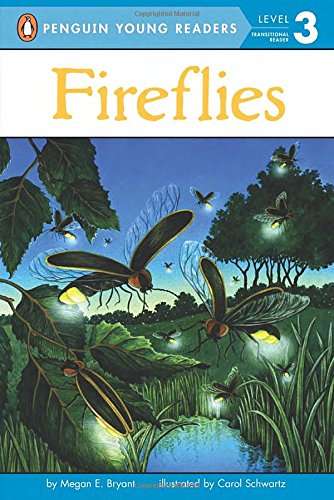Fireflies book cover