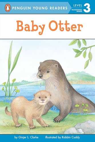 Baby Otter book cover
