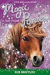 A New Friend (Magic Ponies)