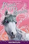 A Special Wish (Magic Ponies)