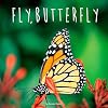 Fly, Butterfly (Penguin Core Concepts)