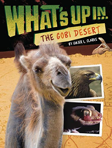 Cover of What's up in the Gobi Desert