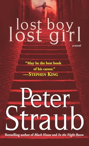 Lost Boy Lost Girl book cover