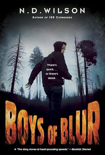 Boys of Blur book cover