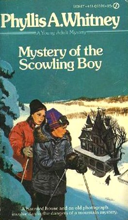 Mystery of the Scowling Boy book cover