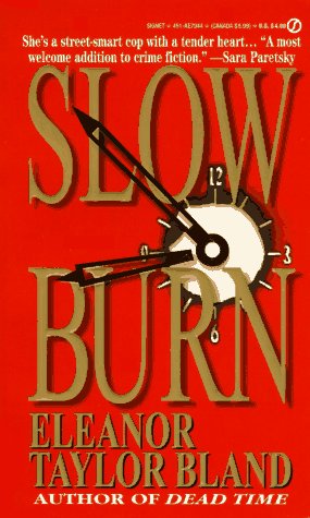 Slow Burn book cover