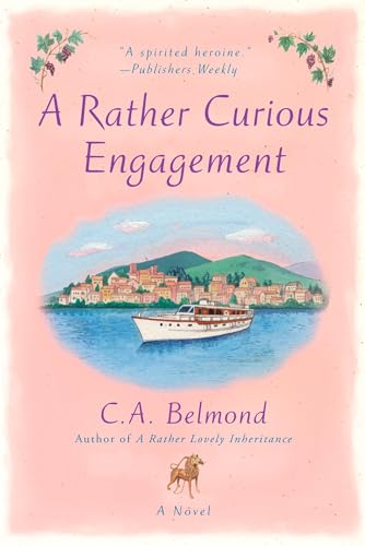 A Rather Curious Engagement book cover