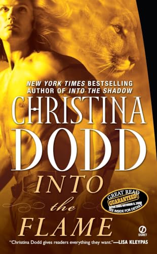 Into the Flame book cover