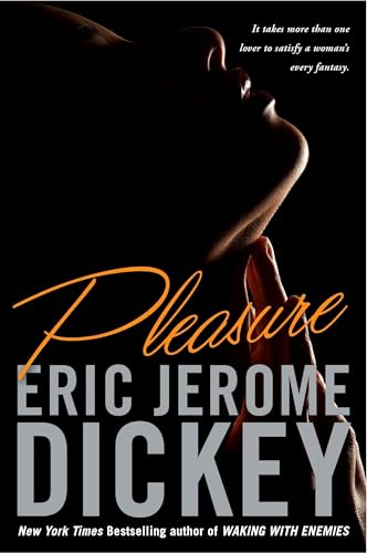 Pleasure book cover