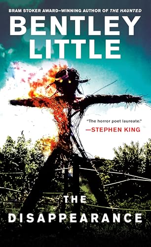The Disappearance book cover