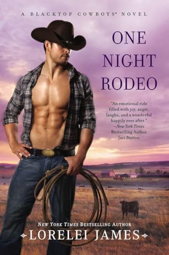 One Night Rodeo book cover