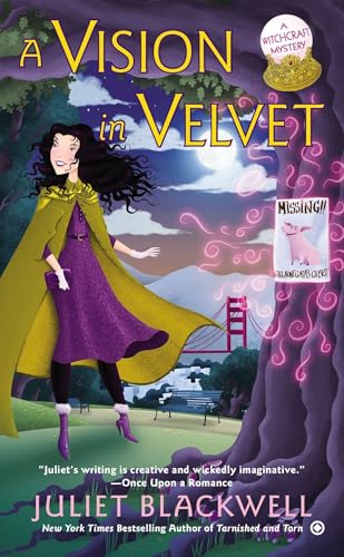 A Vision in Velvet book cover