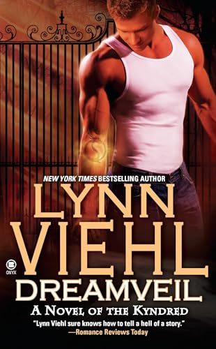 Dreamveil book cover
