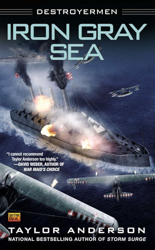 Iron Gray Sea book cover