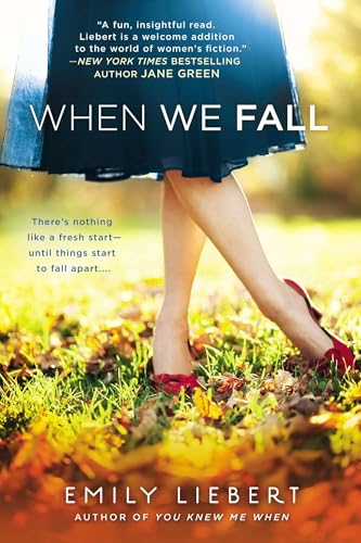 When We Fall book cover
