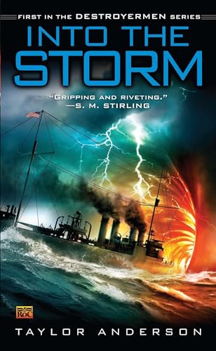 Into the Storm book cover