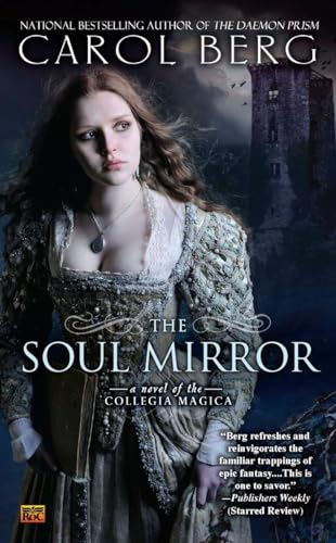 The Soul Mirror book cover