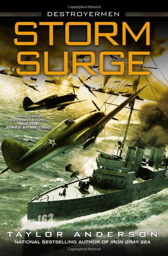 Storm Surge book cover