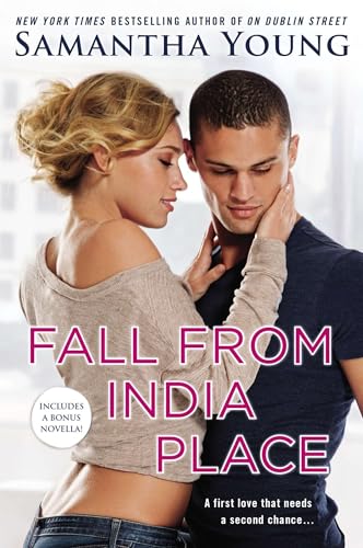 Fall from India Place book cover