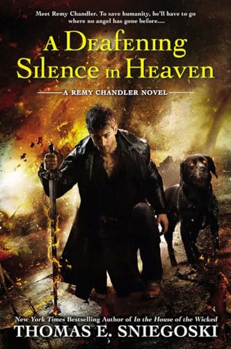 A Deafening Silence in Heaven book cover
