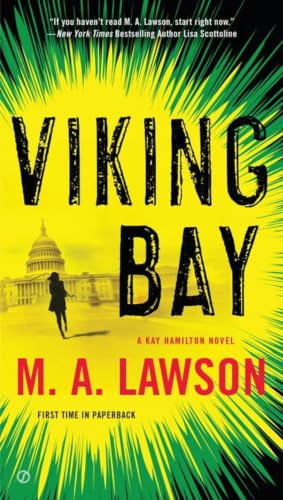 Viking Bay book cover